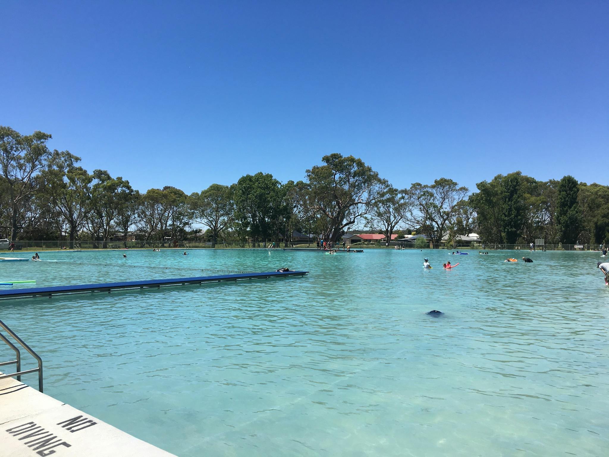 Naracoorte Swimming Lake