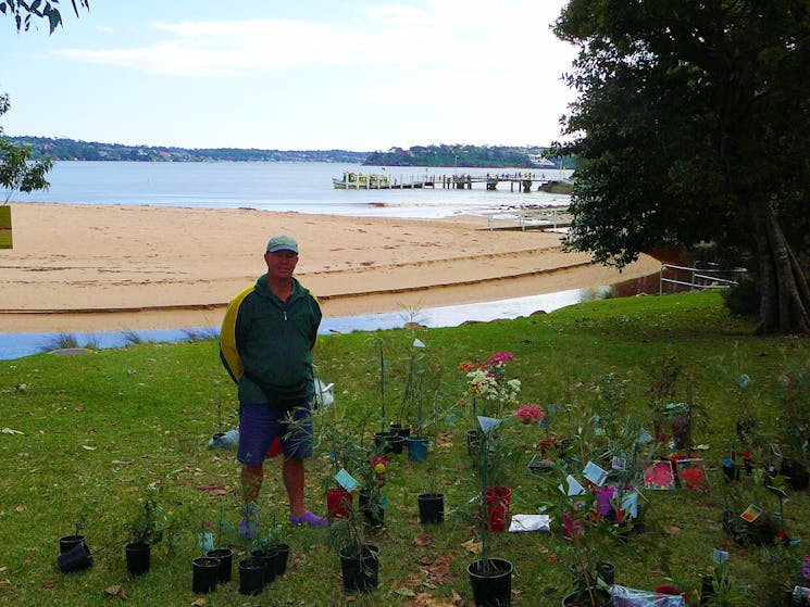 Bundeena Saltwater Market by the beach