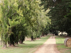 Heading out of the cottage driveway