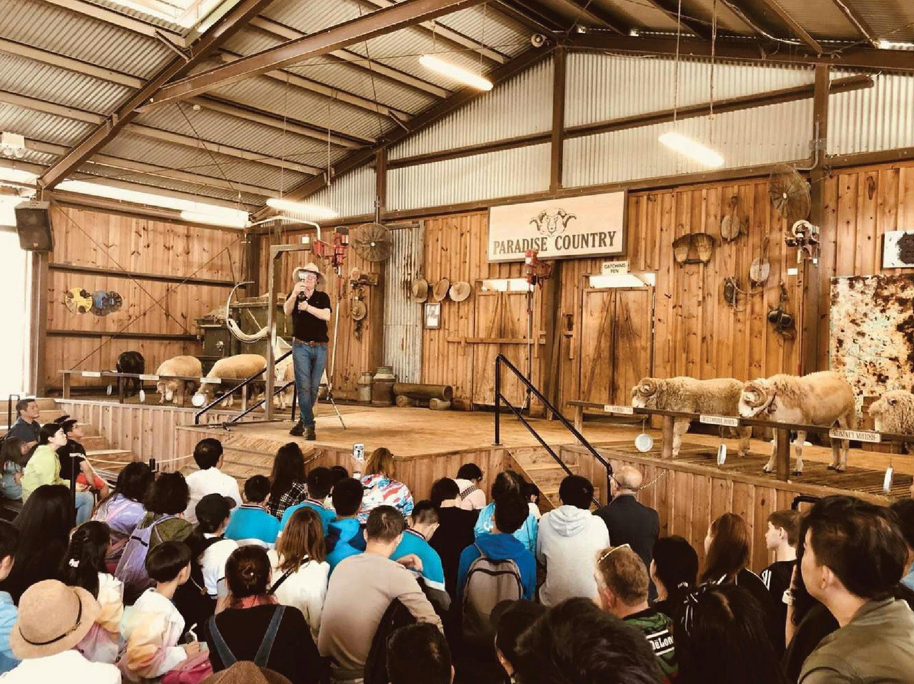 OSEA Study Tour - Australian Sport  experience