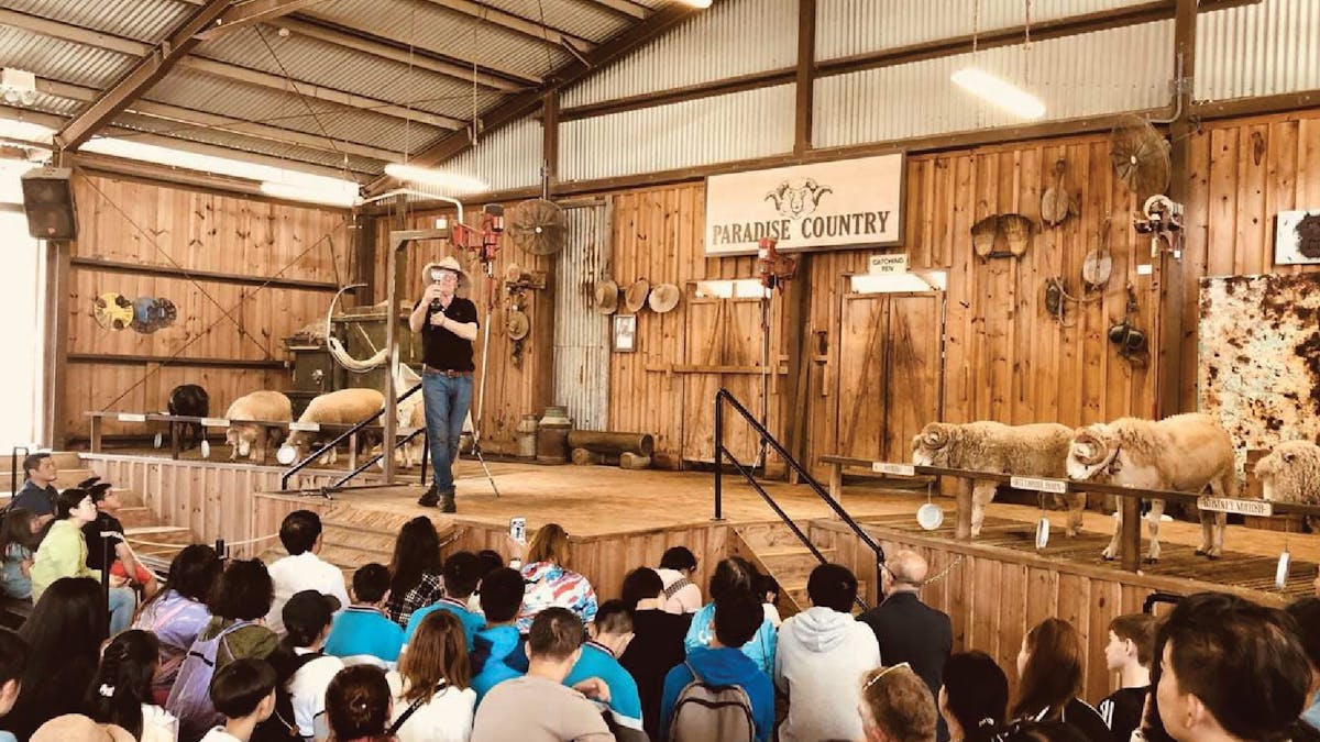 OSEA Study Tour - Australian Sport  experience