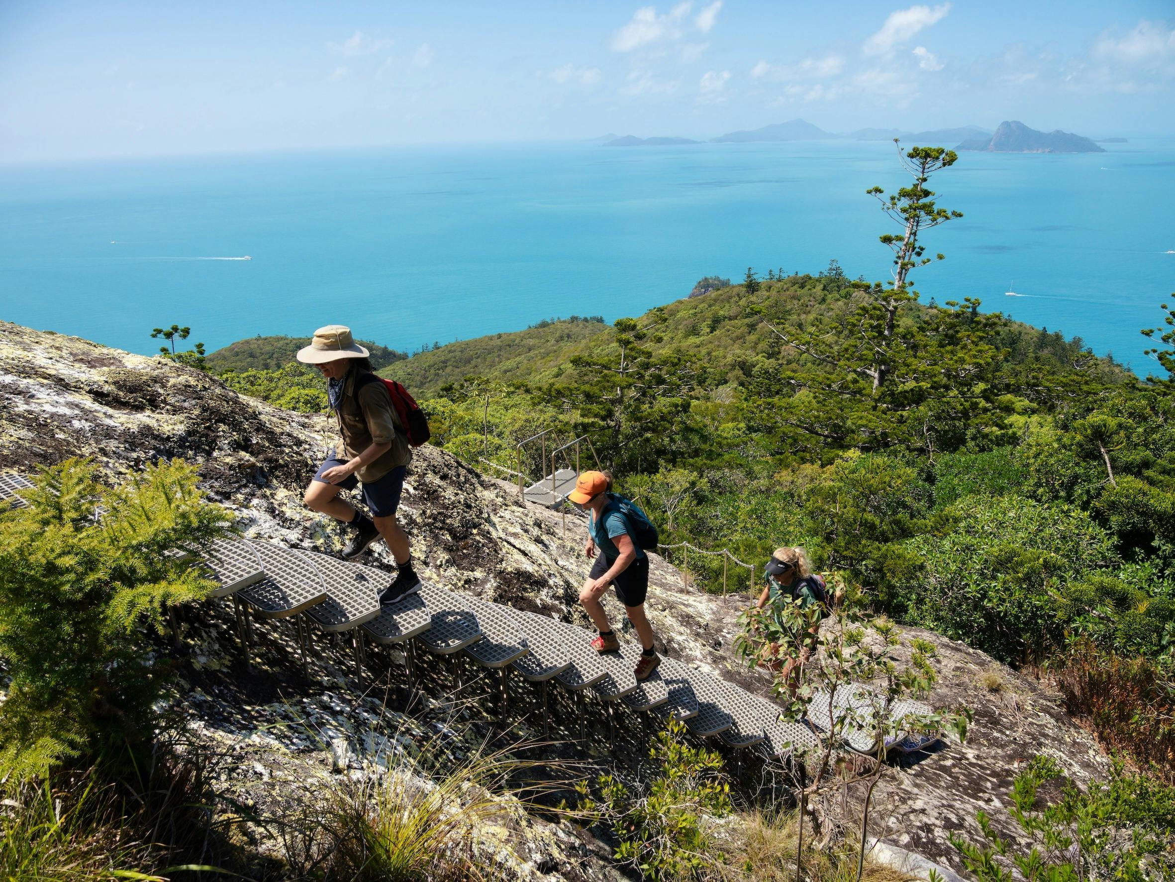 Ngaro Track