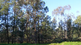 Kindra State Forest