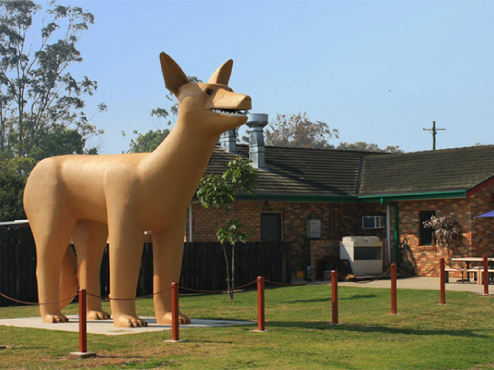 格倫雷村的金狗