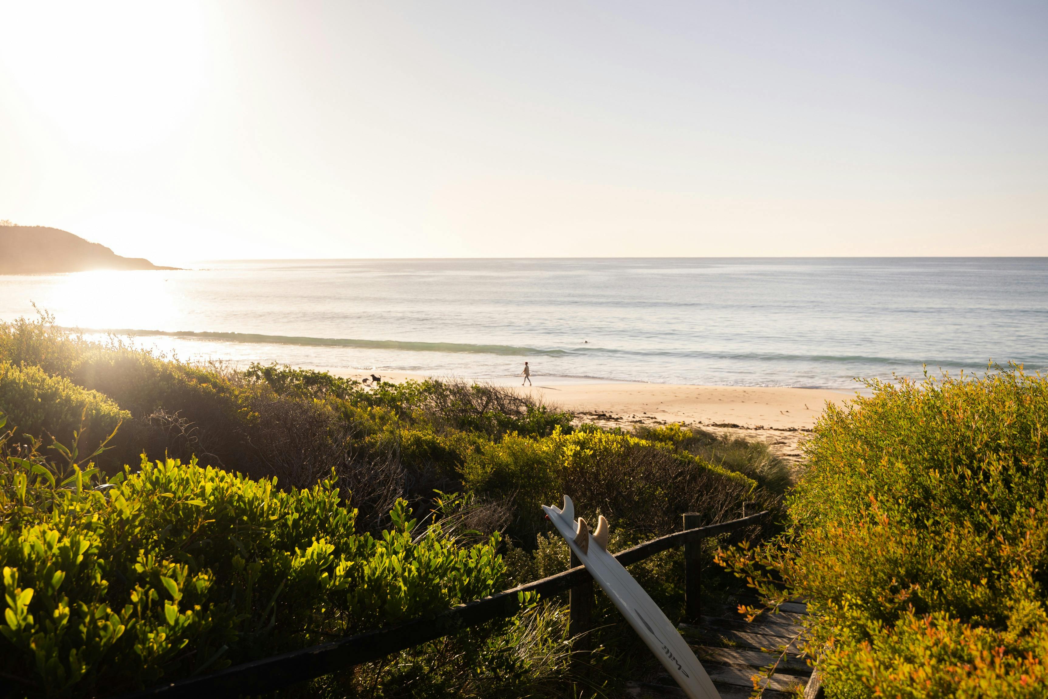 Where We Escape - South Coast