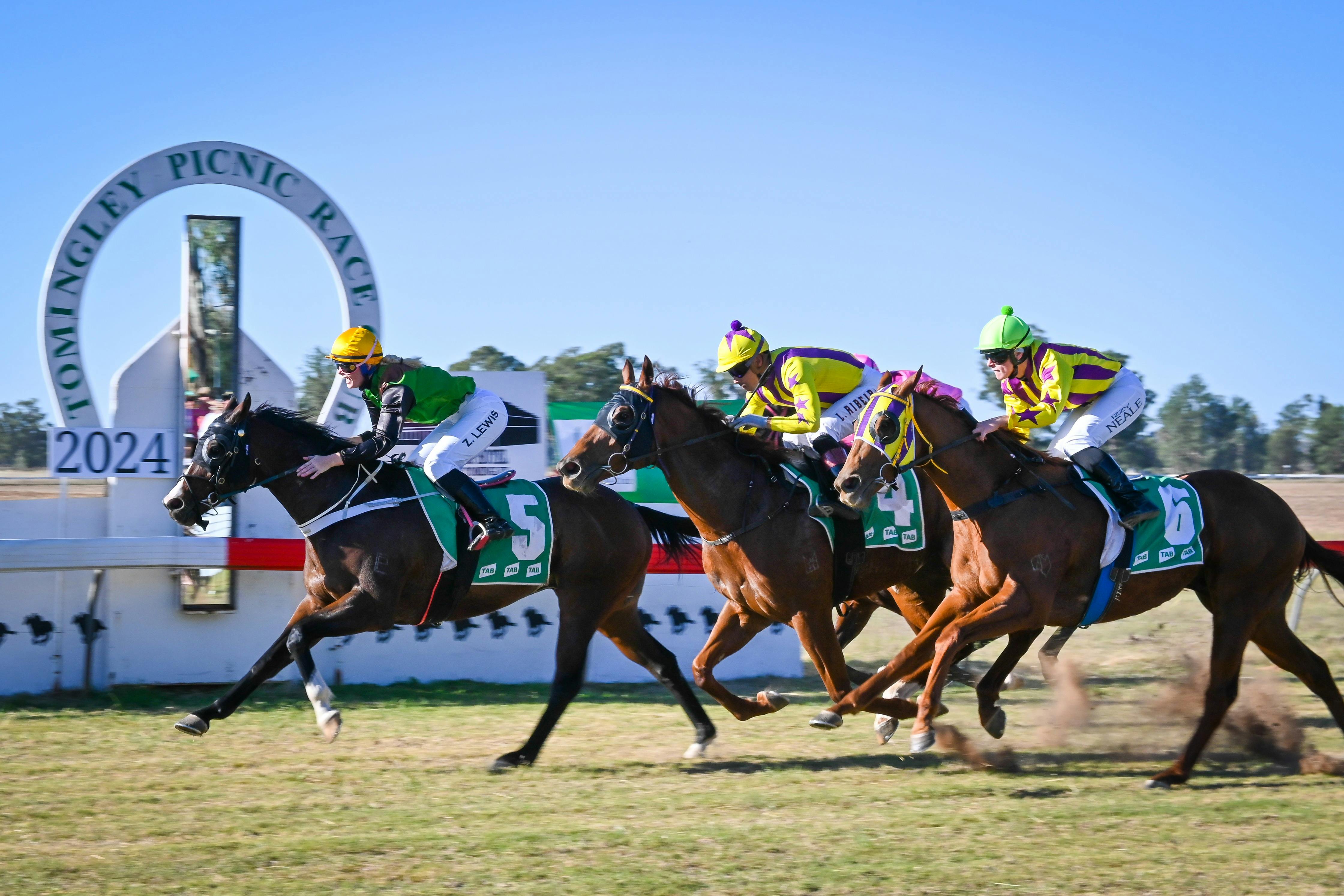토밍리 피크닉 레이스