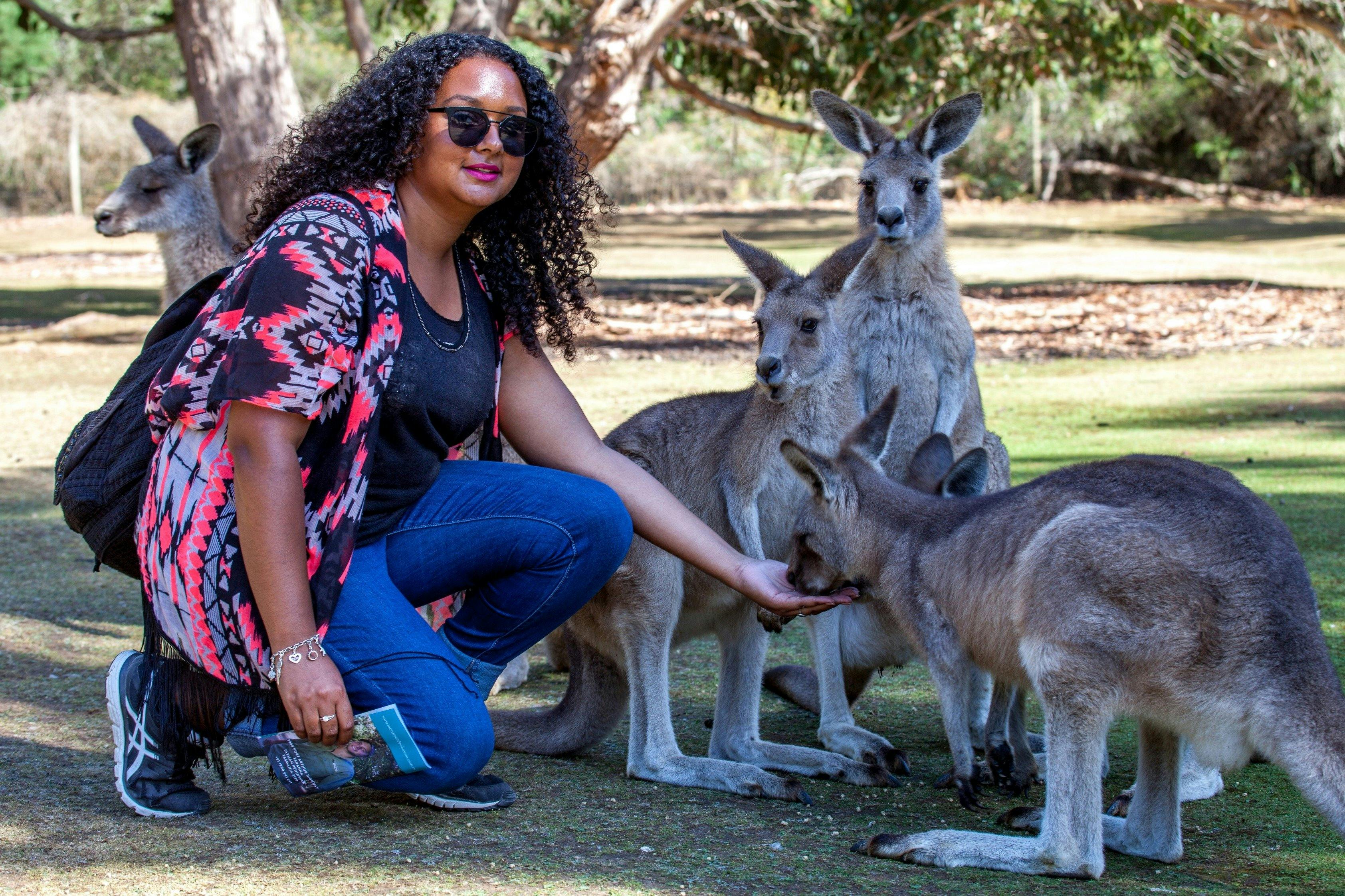 Tasmanian Devil Unzoo