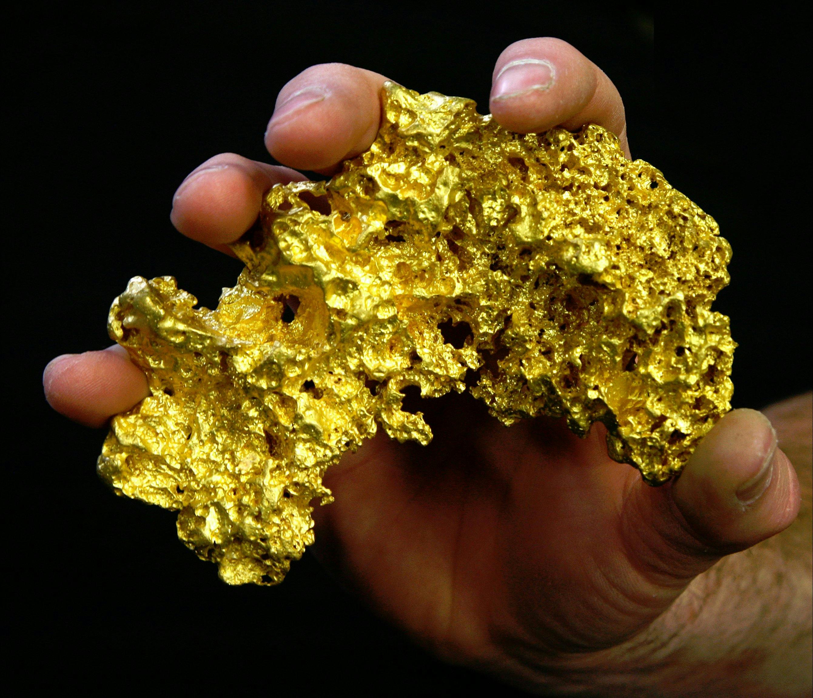 Gold Prospecting One Day Tour