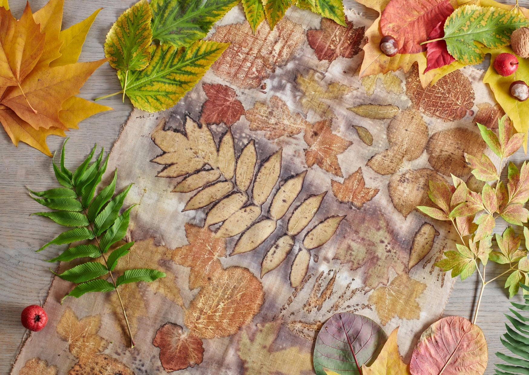 Eco dye workshop with Australian Plants