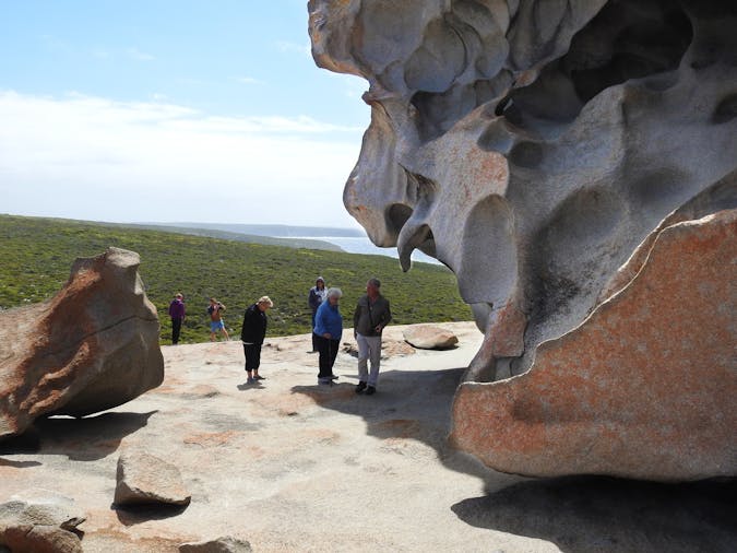 Coorong and Kangaroo Island Bus Tour