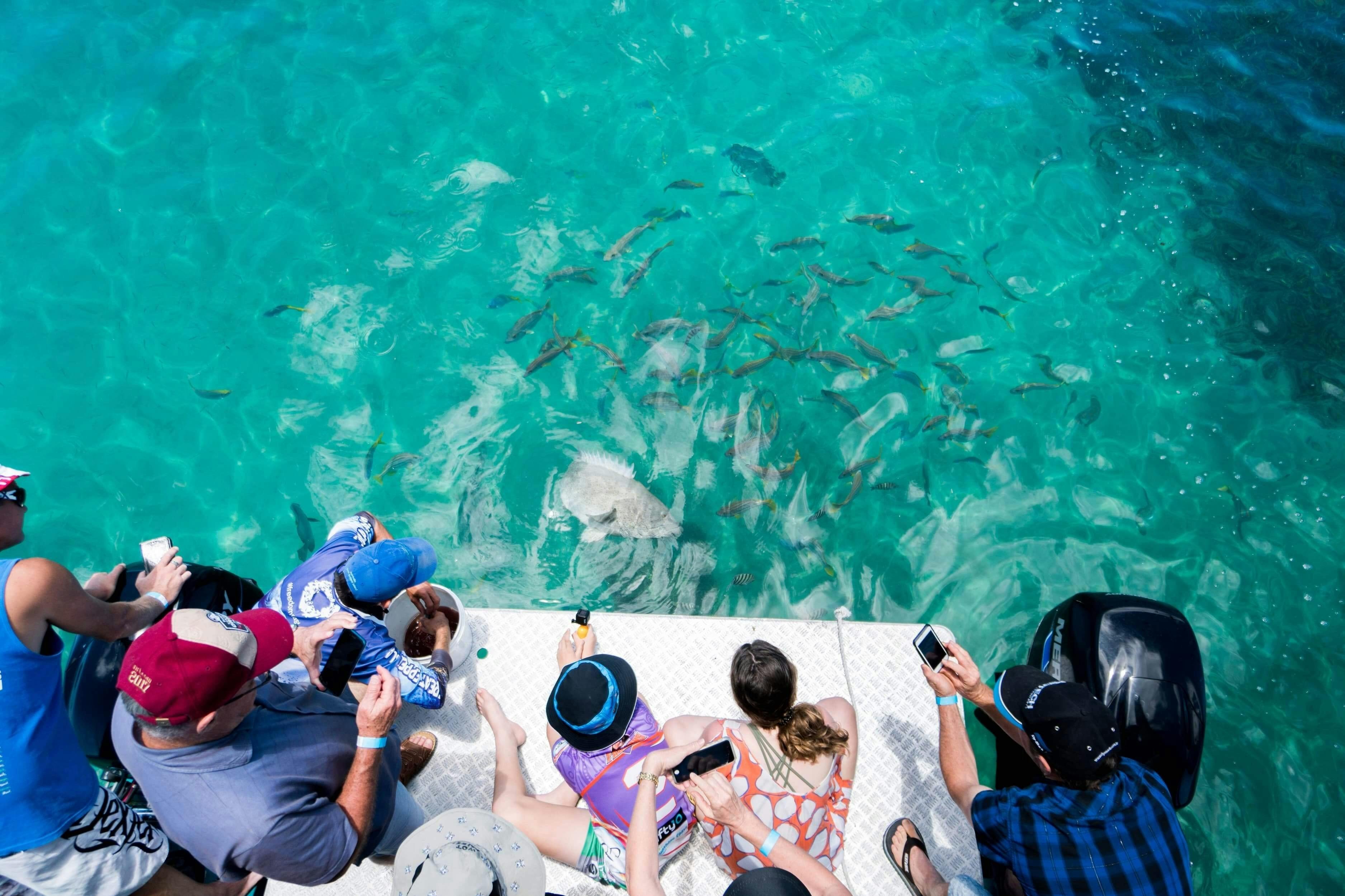 Great Keppel Island Glass Bottom Boat Cruise