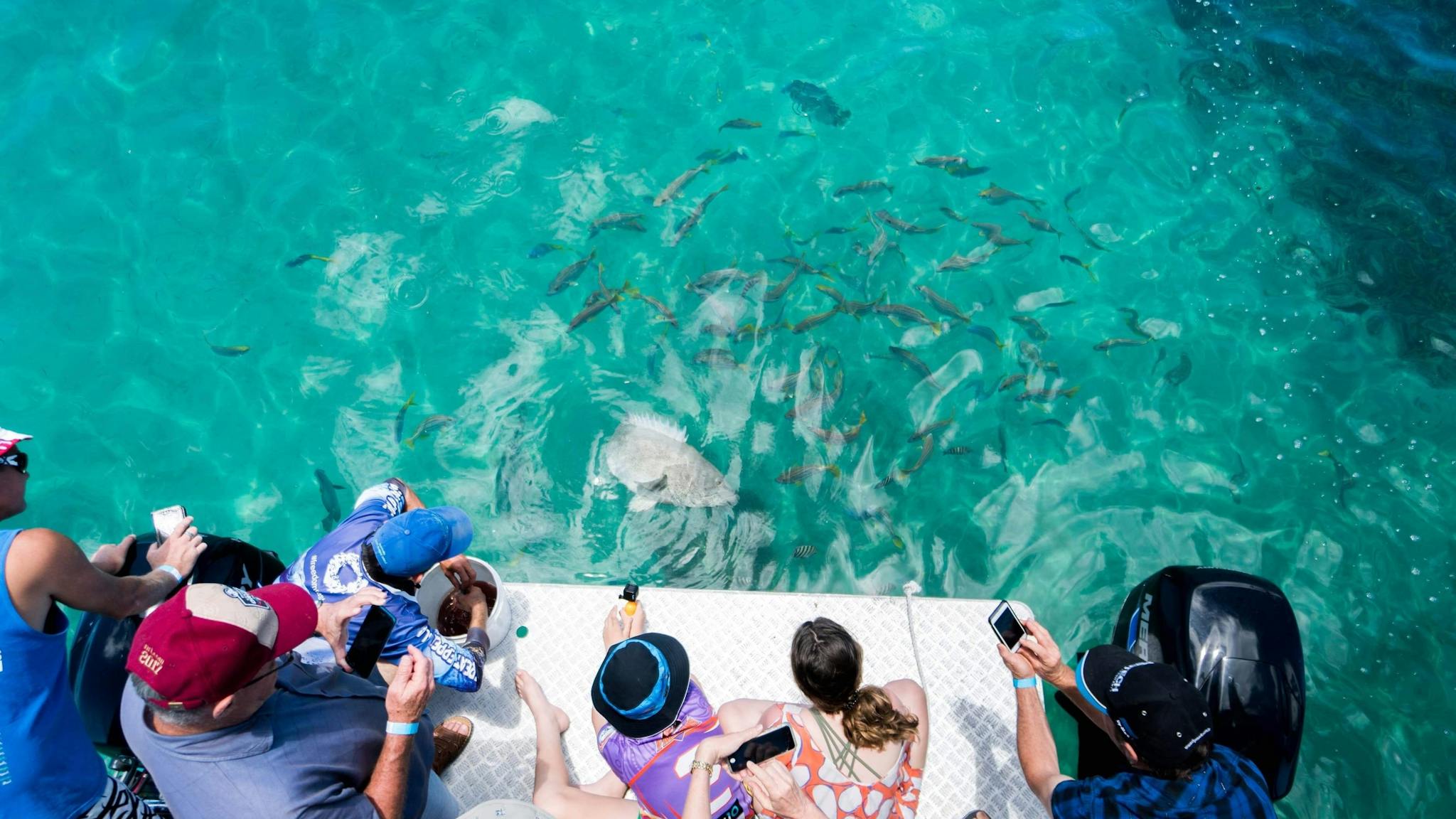 Engage with Marine Life: Fish Feeding on Glass Bottom Boat Tour Engage with Marine Life: Fish Feeding on Glass Bottom Boat Tour