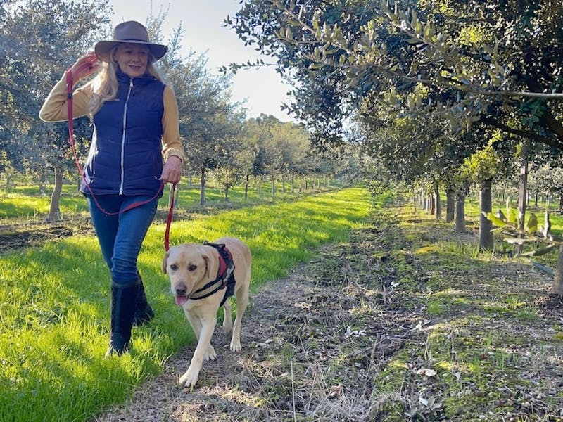 Image for Truffle Hunting at Truffle Valley
