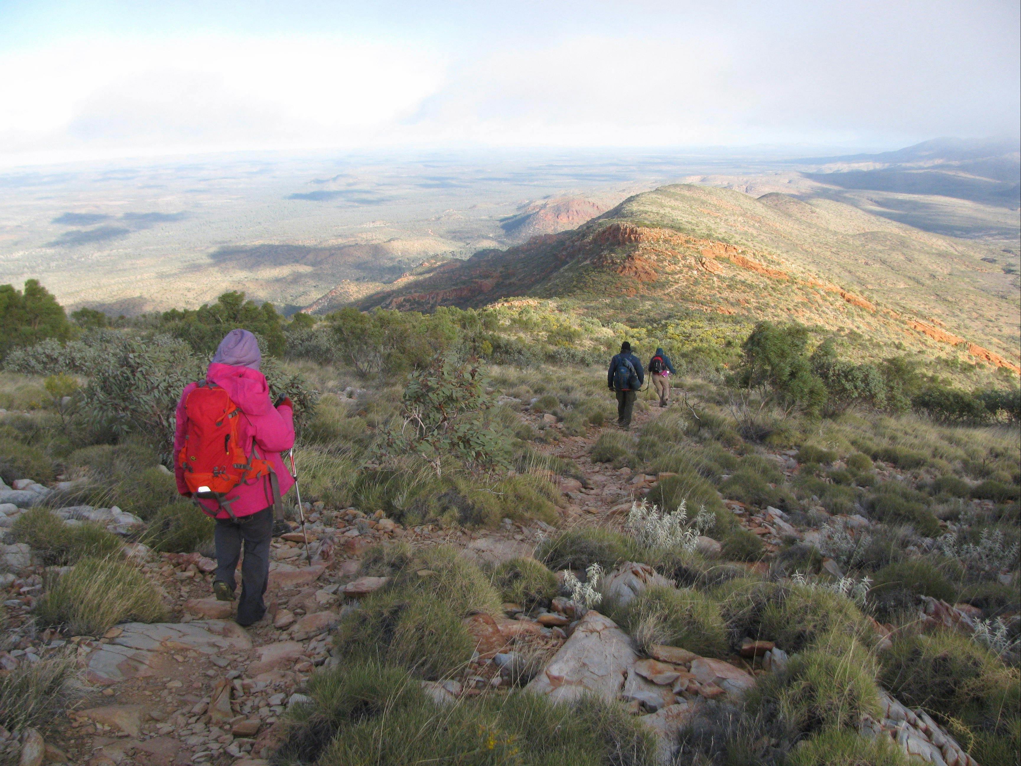 Larapinta Trail