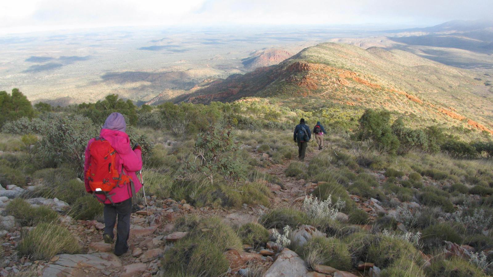 Larapinta Trail