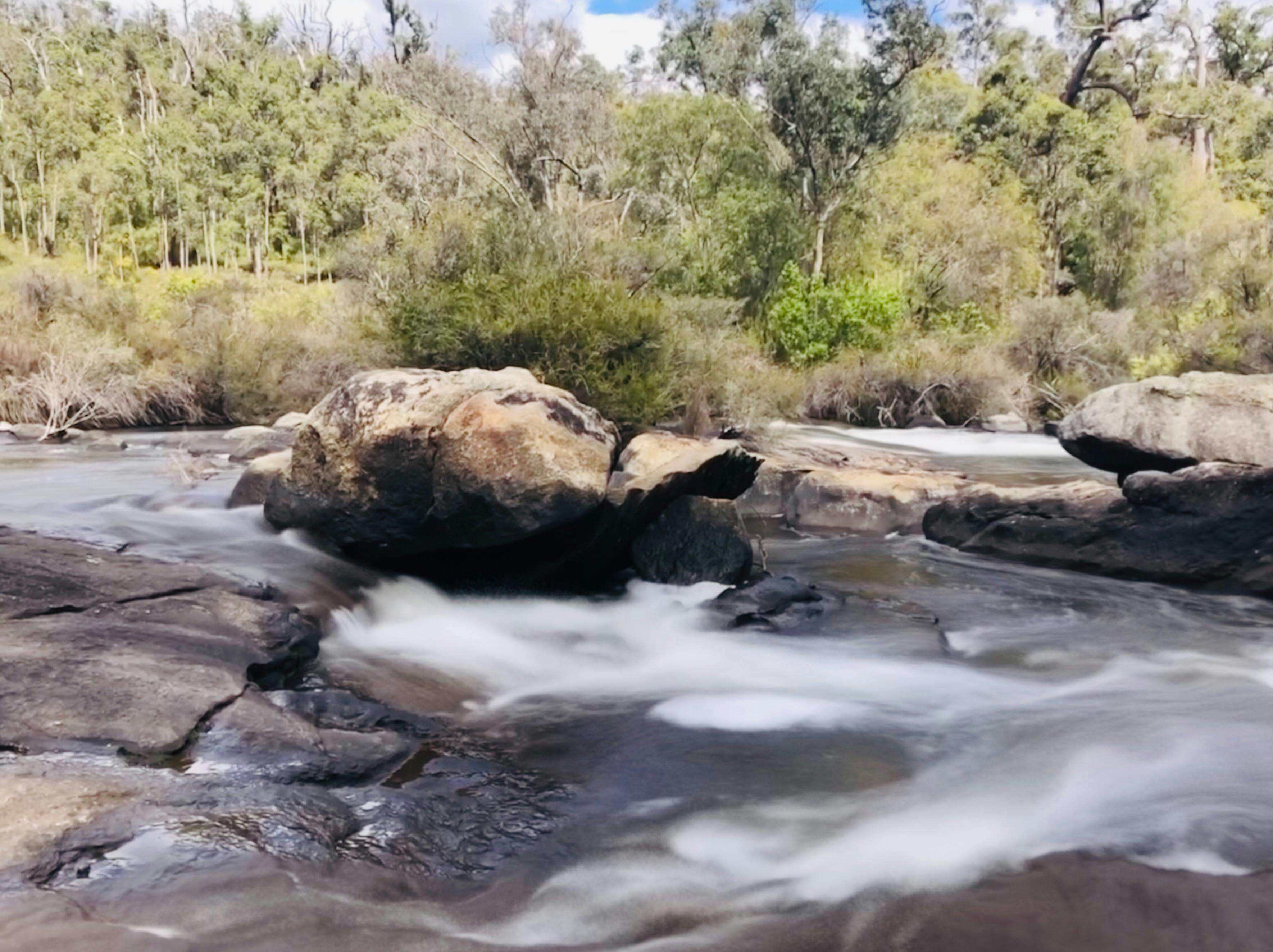Collie | Hike, Wine & Dine Experience