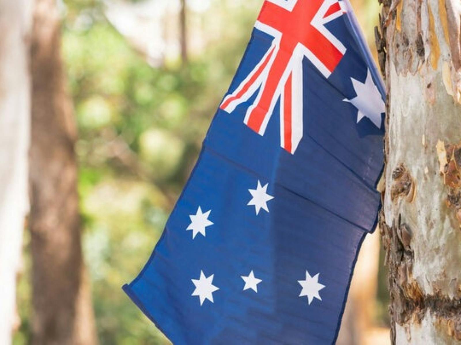 The Australian Flag between two gum trees with a muted bush background.