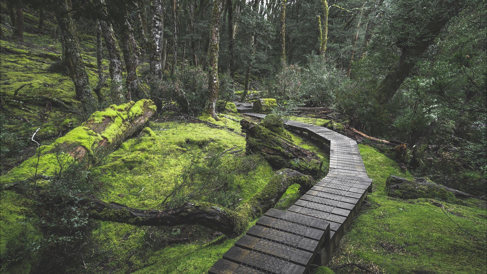 Cradle Mountain