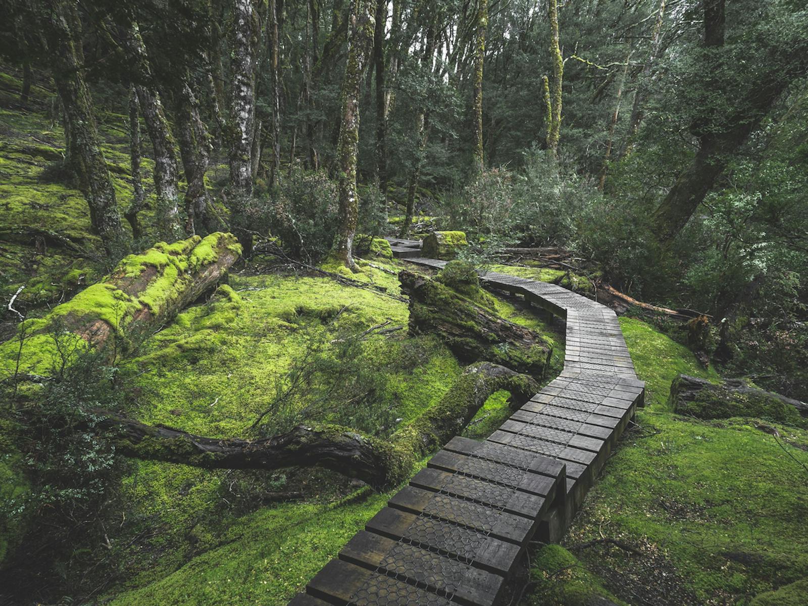 Cradle Mountain