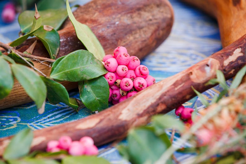 Image of the event 'Bush Tucker family workshop: Rouse Hill House and Farm'