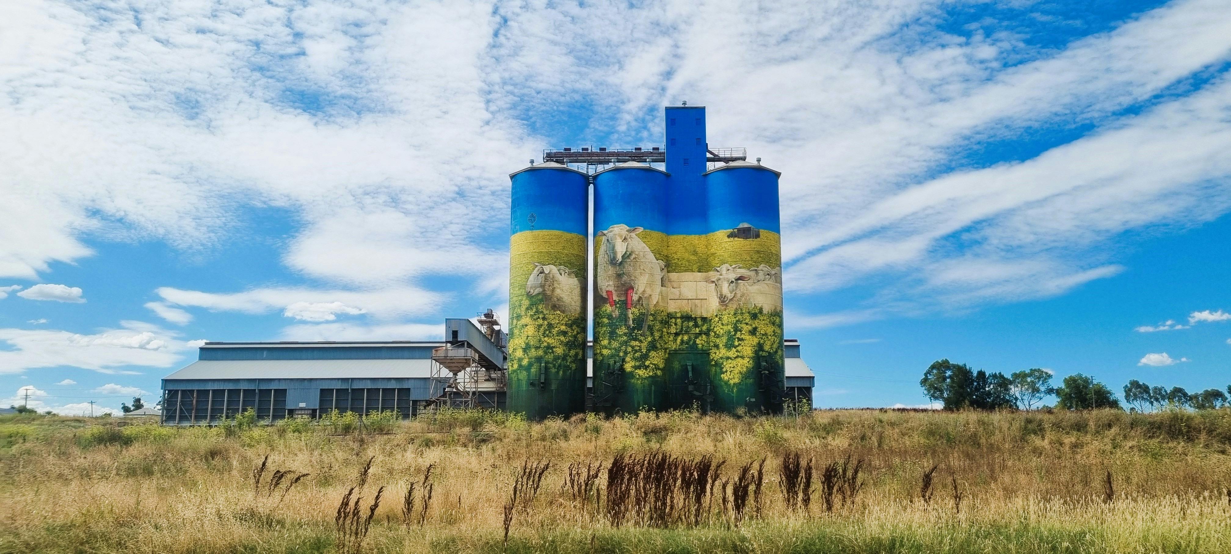 Merriwa Silo Art