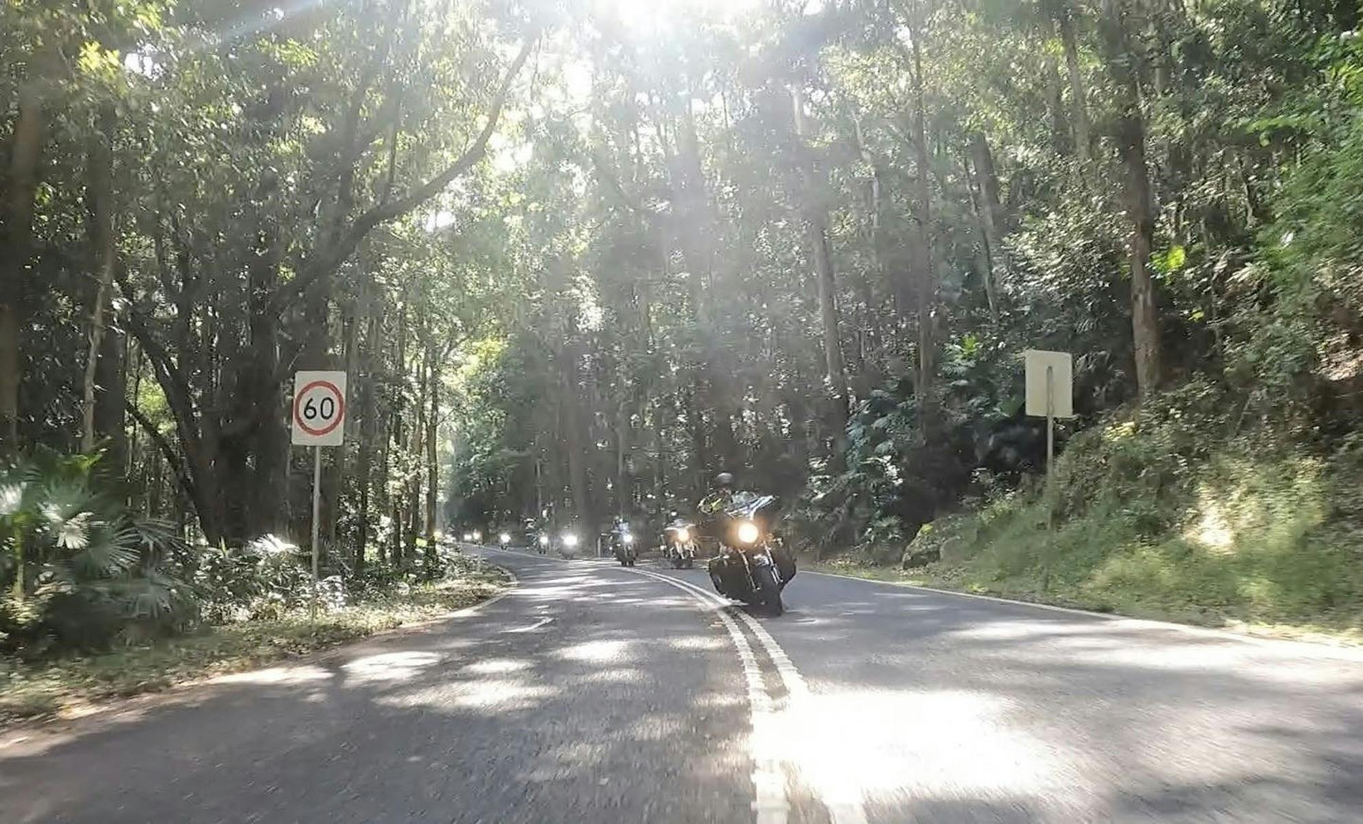 Motorcycles on a road with overhanging trees and filtered sunlight