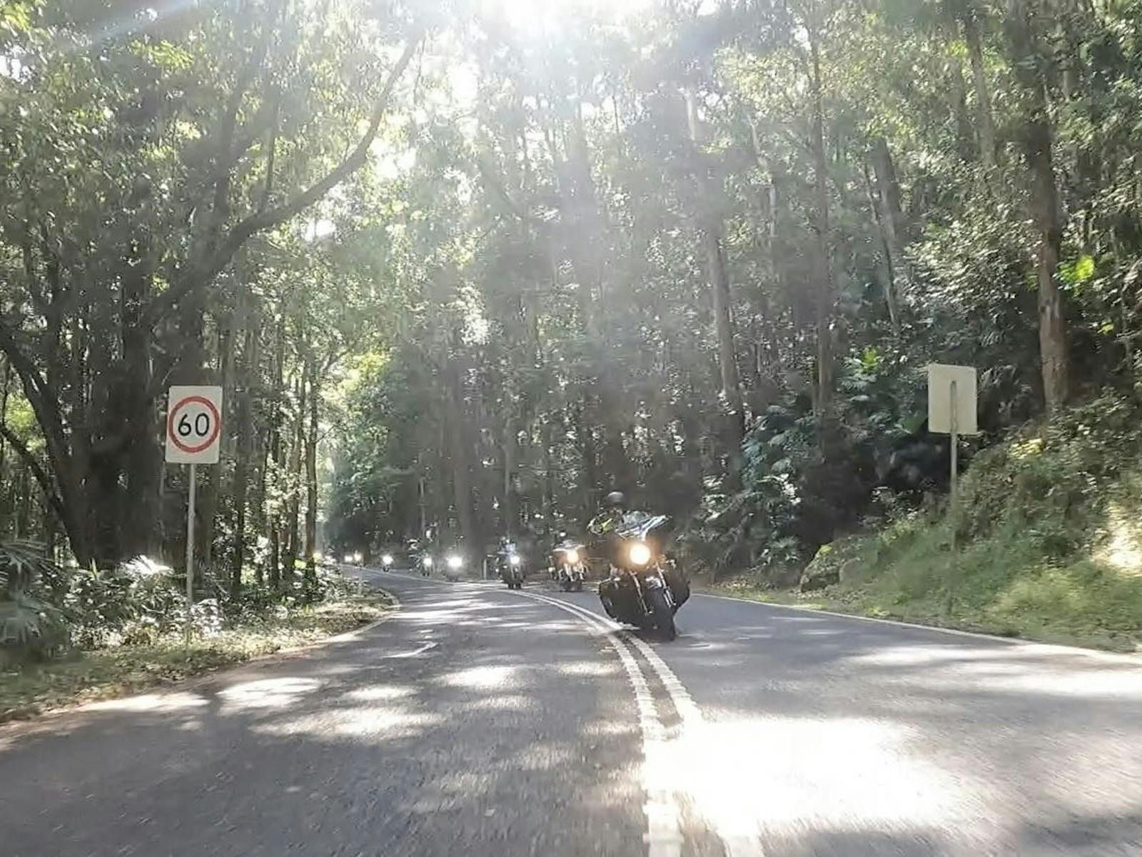 Motorcycles on a road with overhanging trees and filtered sunlight
