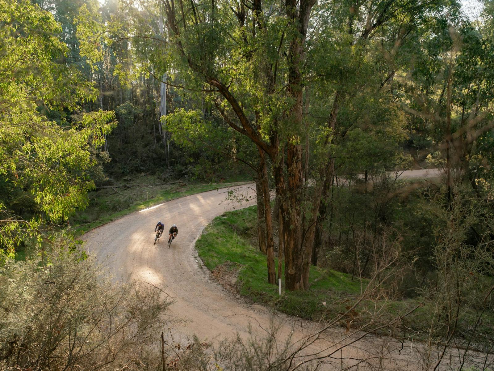 Two people on bikes riding on a gravel road through lush green bushland, going around a bend.