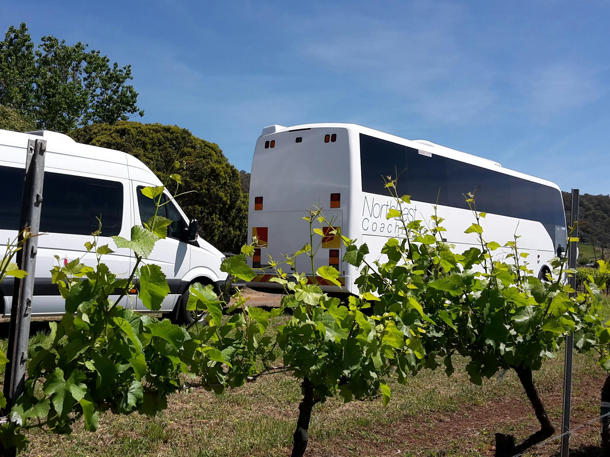 King Valley Winery Bus and Coach Transfers