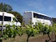 King Valley Winery Bus and Coach Transfers