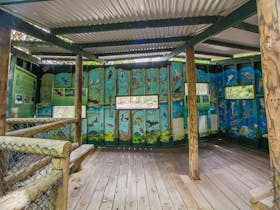 Mural of Australian animals, birds, and information about Kumbartcho Wetland Rehabilitation Project