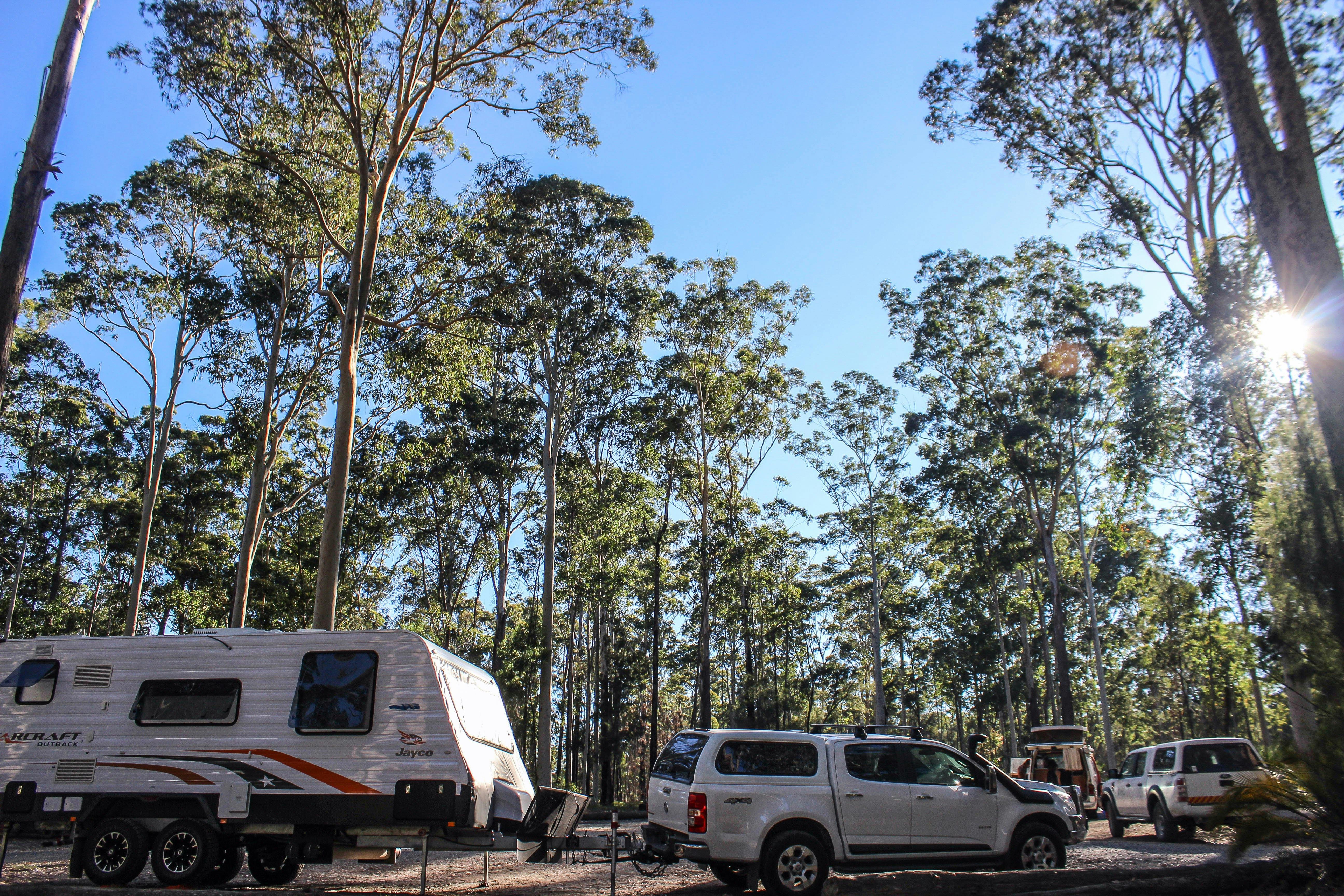 Bodalla Forest Rest Area