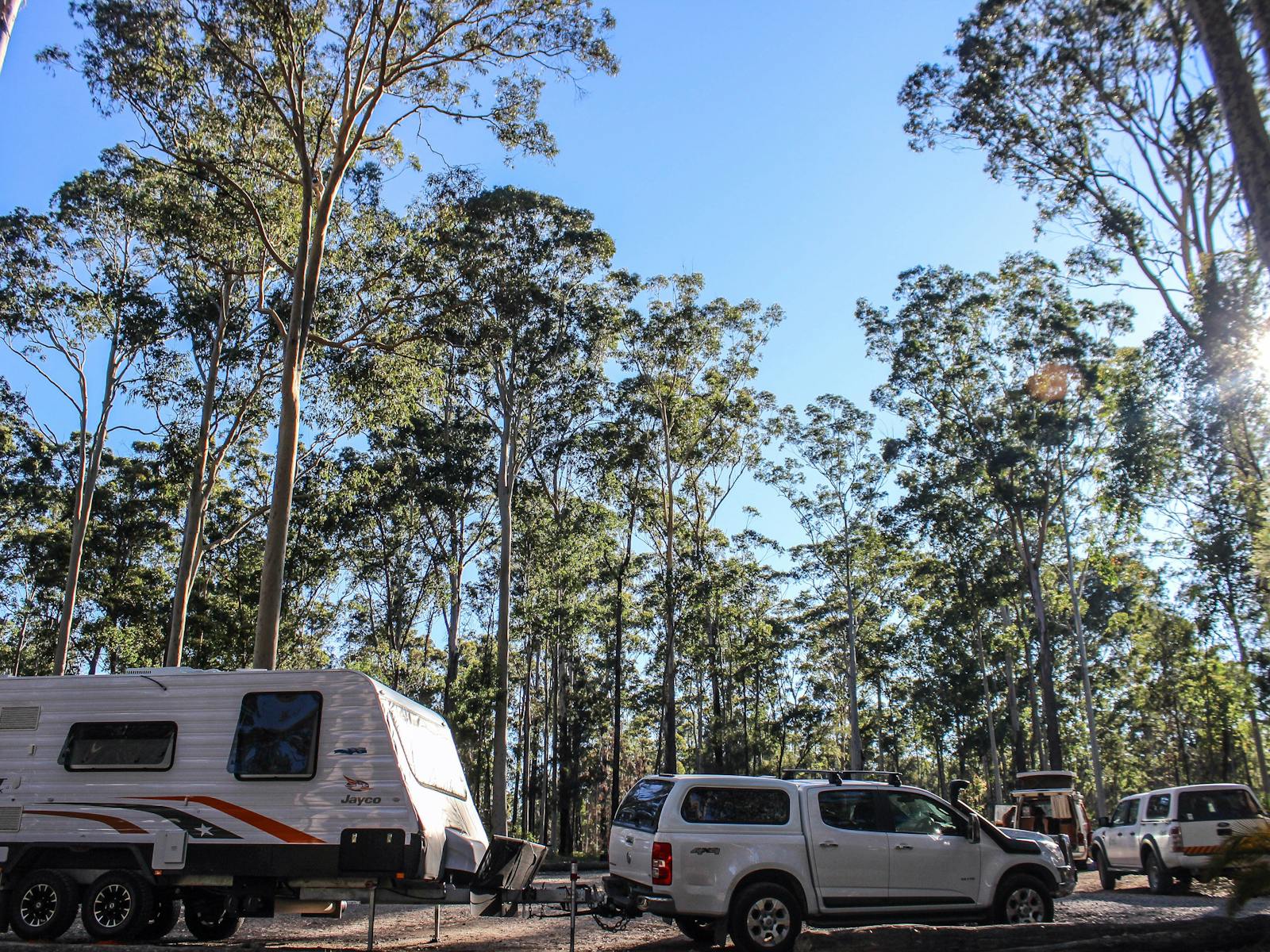 Bodalla Forest Rest Area, Bodalla State Forest