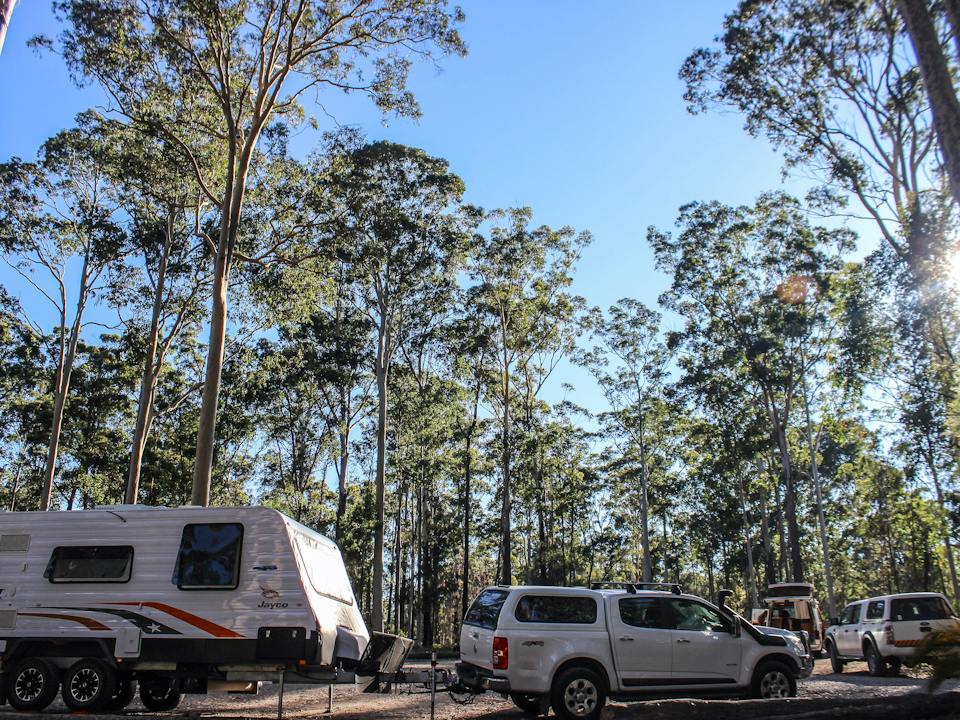Caravans and campervans are welcome at Bodalla Forest Rest ARea