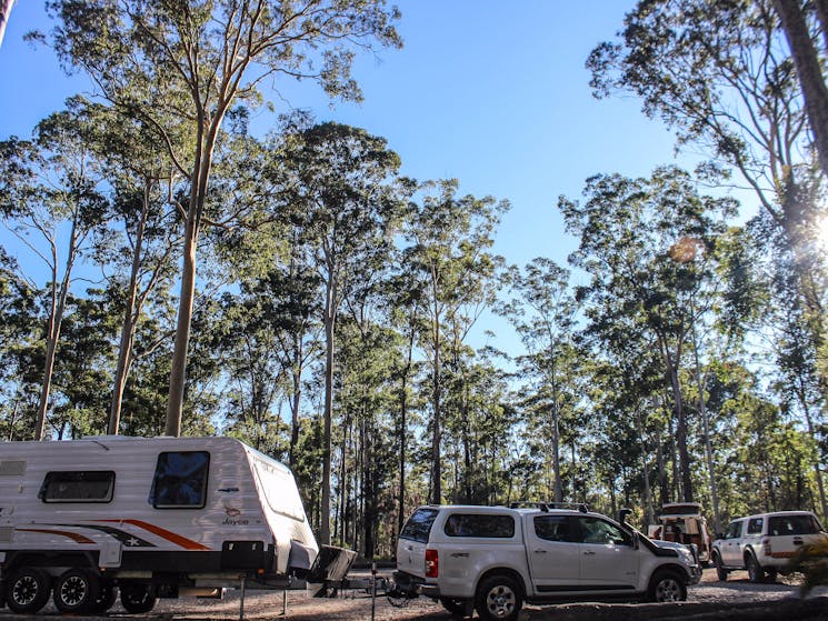 Bodalla State Forests can accommodate caravans and campervans