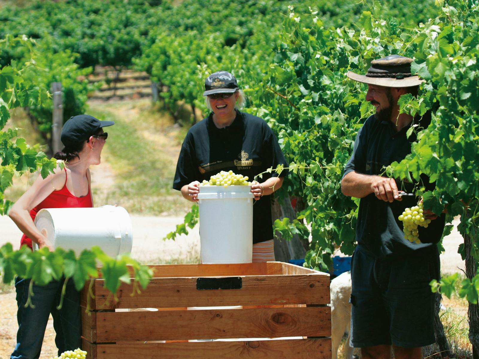 Gourmet Country Escape - Brisbane to Stanthorpe and Toowoomba
