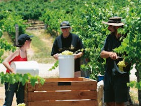 Gourmet Country Escape - Brisbane to Stanthorpe and Toowoomba
