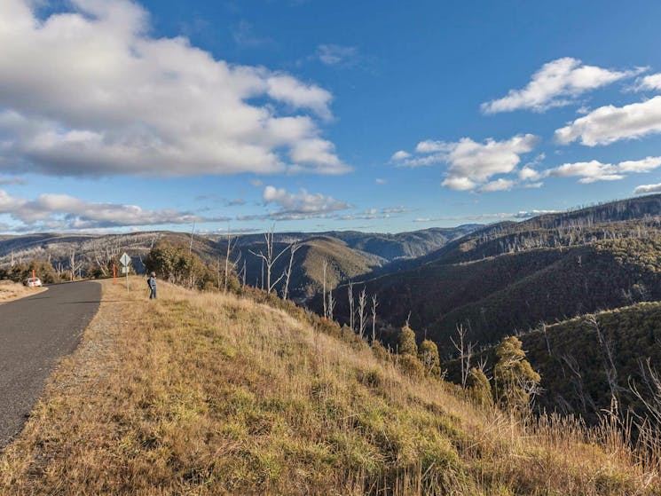 Alpine high country near Cabramurra, Kosciuszko National Park Photo: Murray Vanderveer