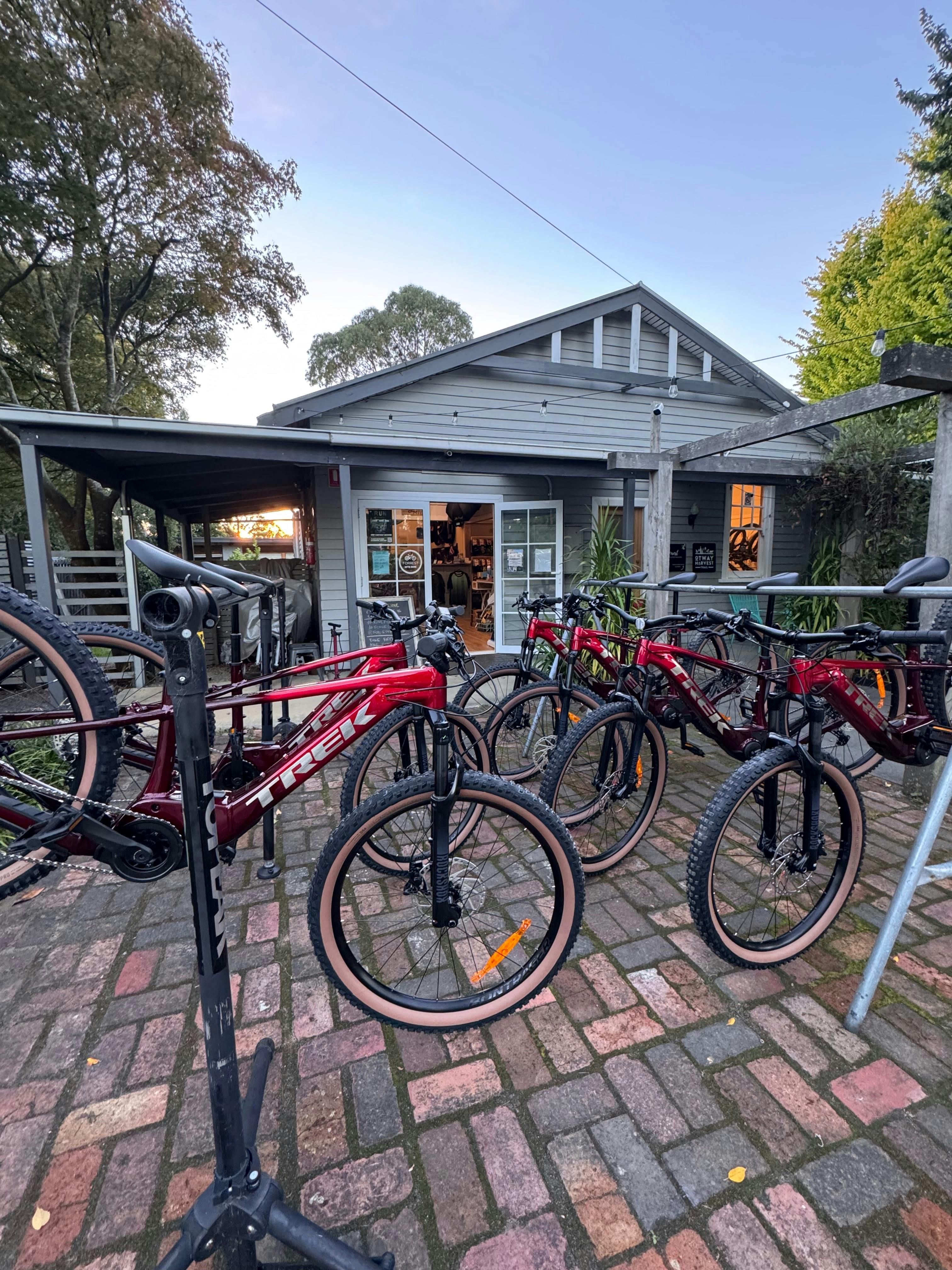 Trek E-bikes for hire