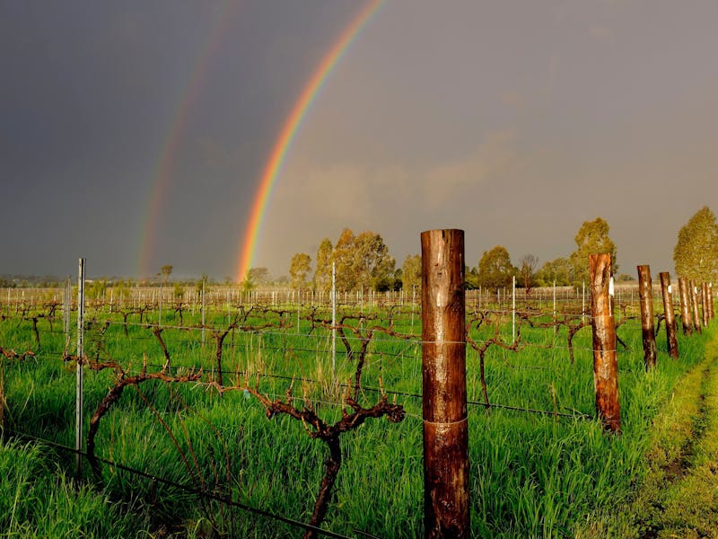 Beautiful after the rain