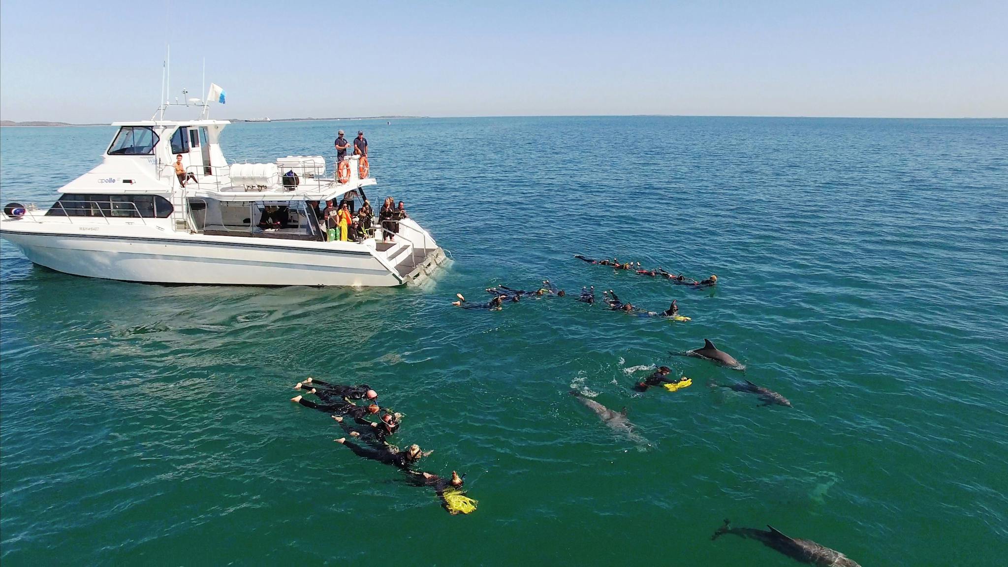 Rockingham Wild Encounters, Rockingham Beach, Western Australia