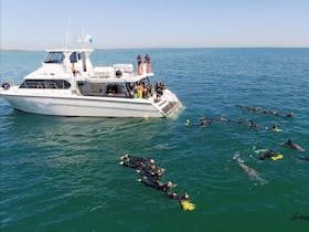 Rockingham Wild Encounters, Rockingham Beach, Western Australia