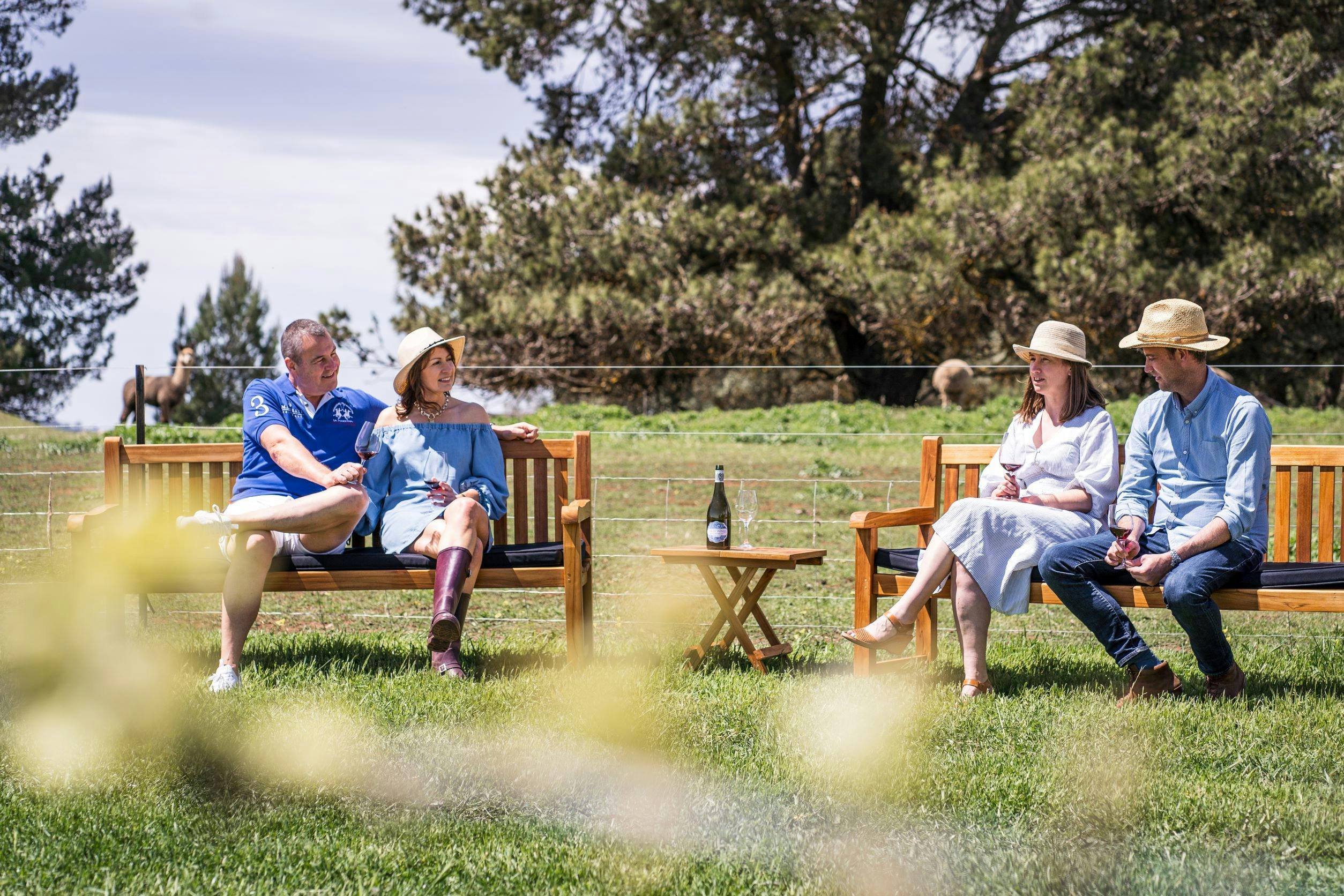 Guests relaxing with wine in hand in the vineyard