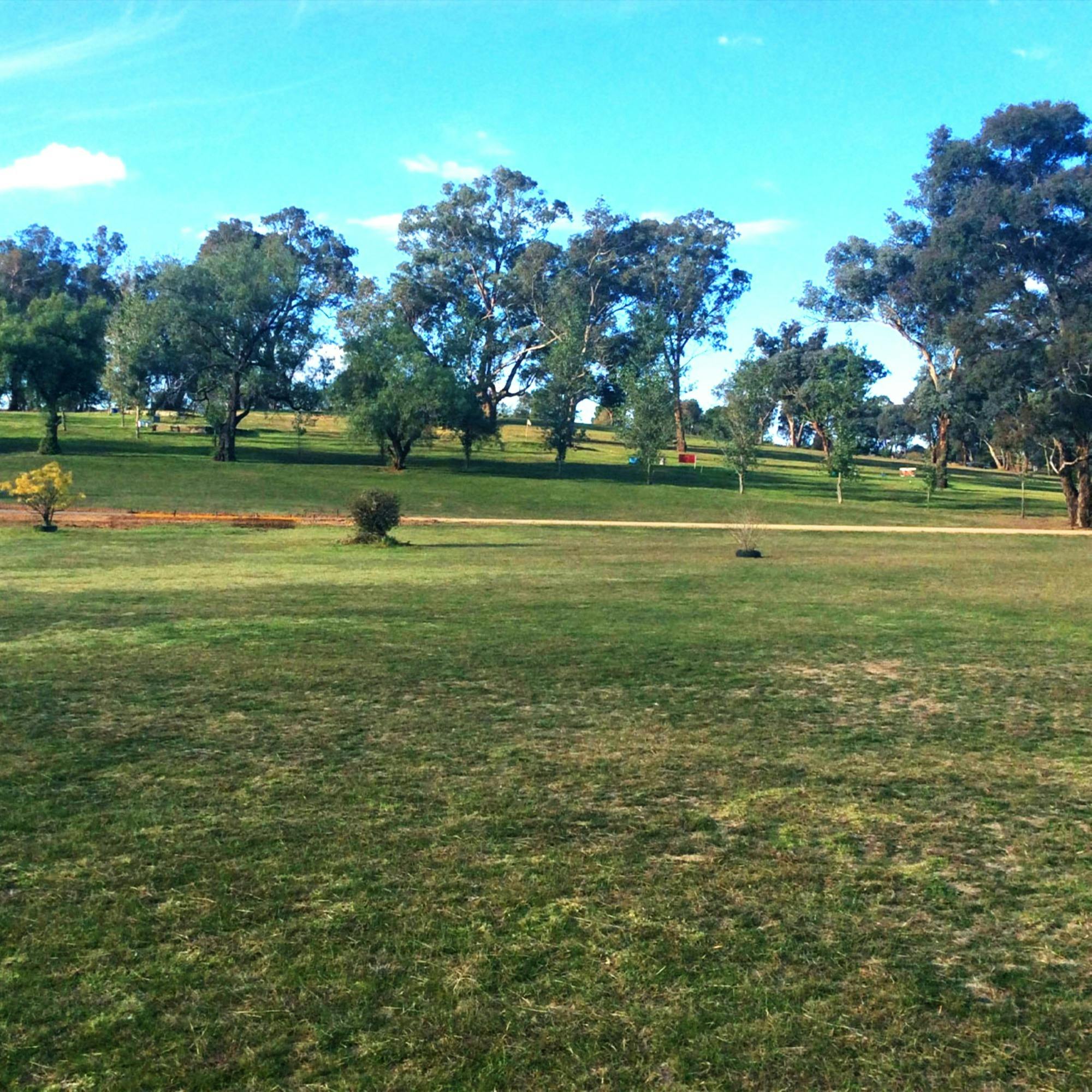 Tipperary Golf Club greens