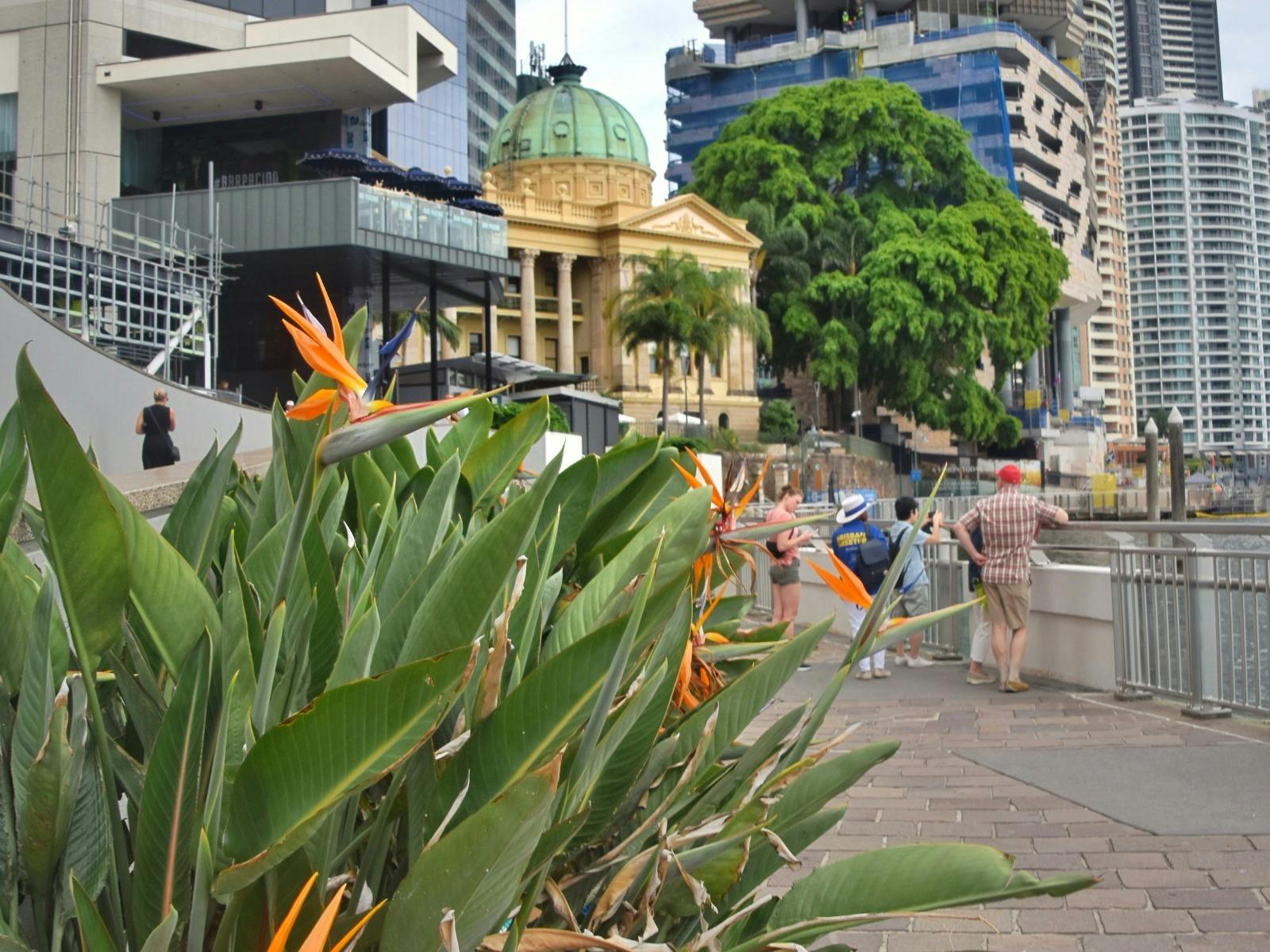 Walk around some of Brisbane's most iconic buildings and locations