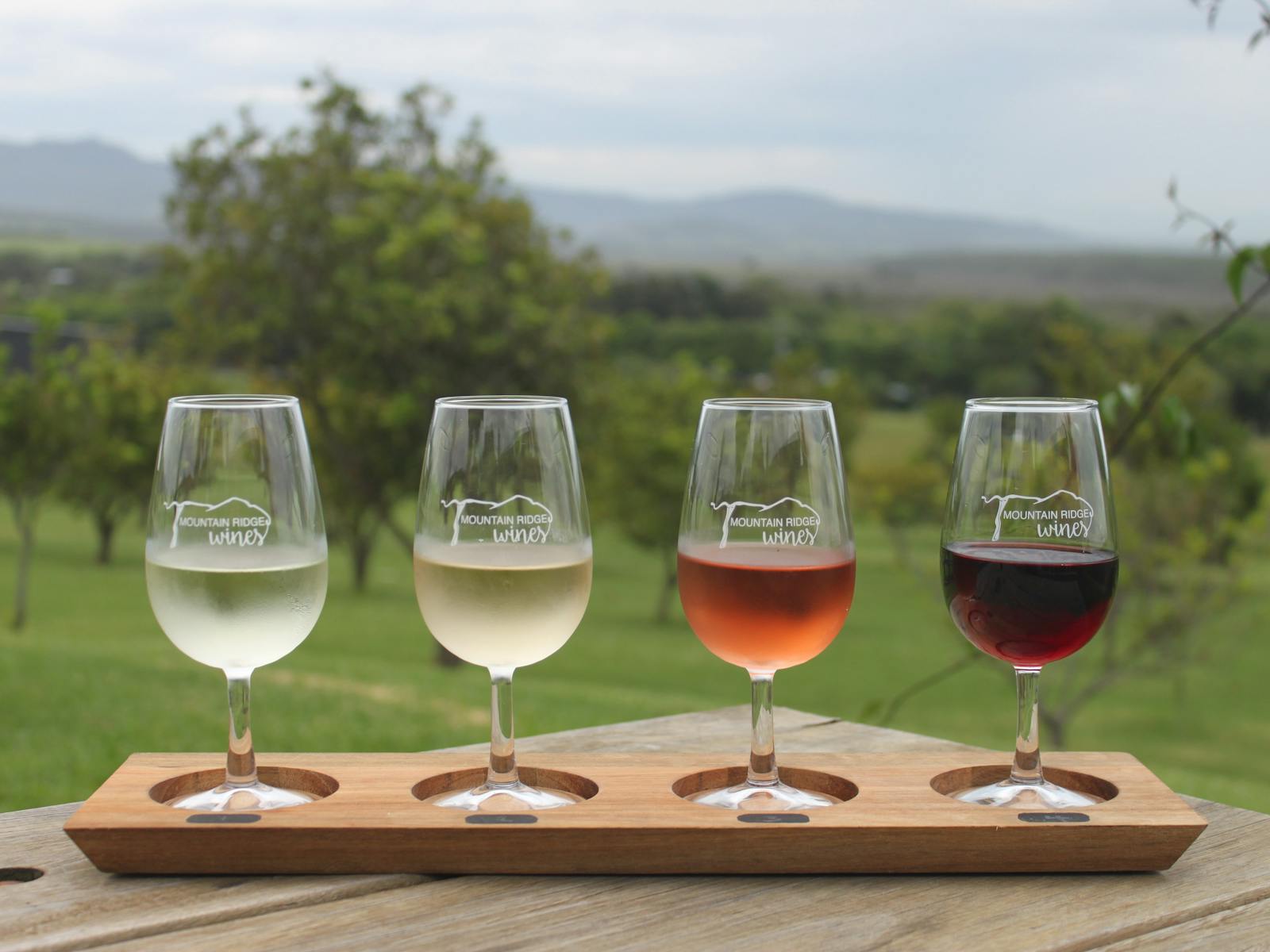 Wine Paddle