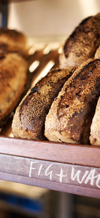 bread