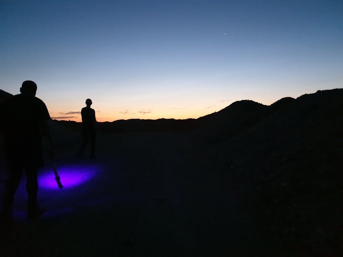 Nocturnal Tour