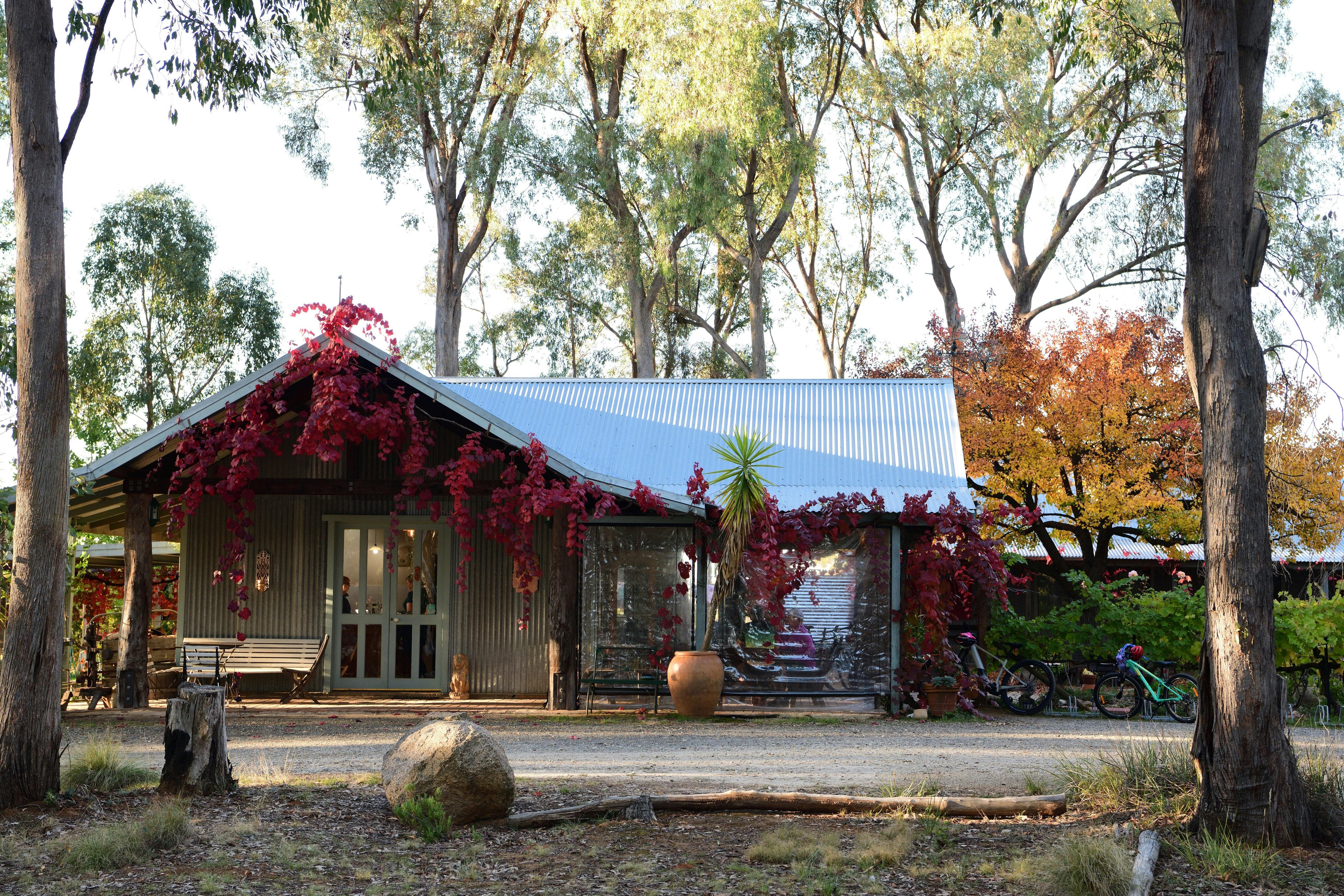 Cellar door sth side