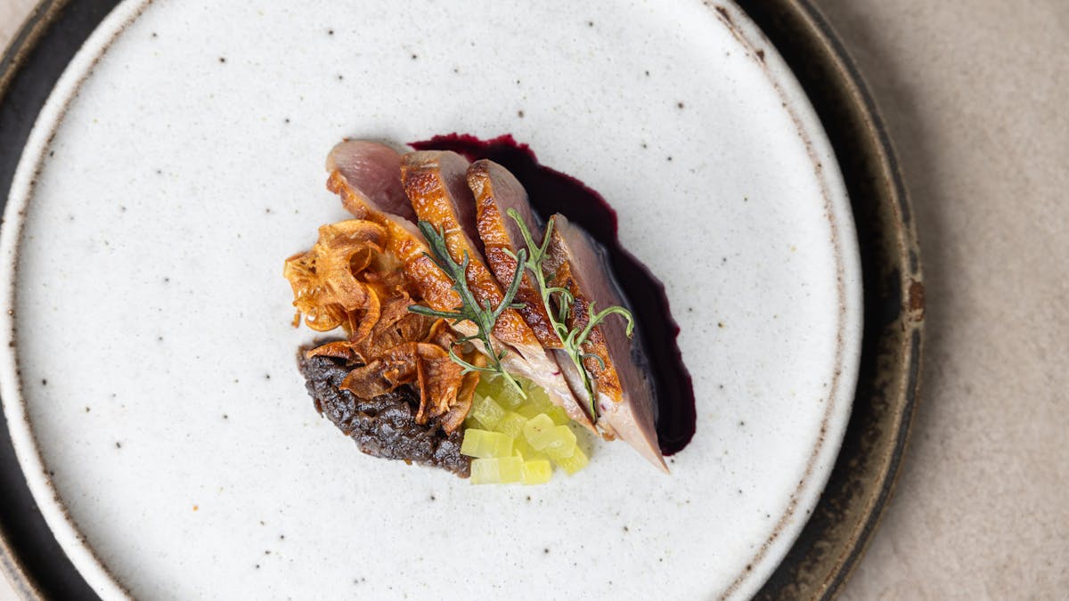 Duck Breast, Black Artichoke, Pickled Apple, Blueberry Juice